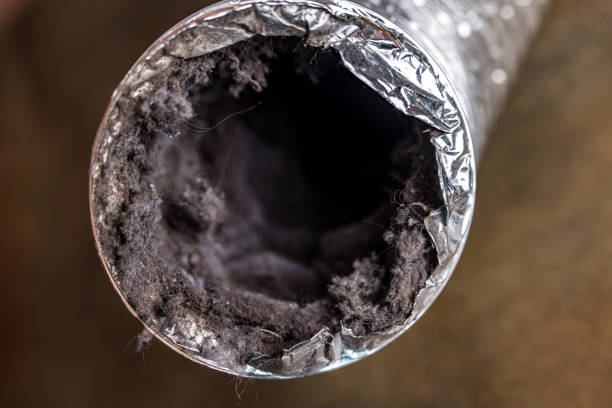 Best Ventilation Cleaning Services  in Avenal, CA