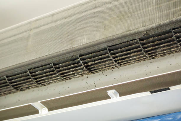Best Affordable Duct Cleaning Services  in Avenal, CA
