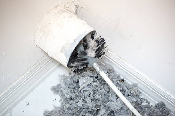 Best Home Air Vent Cleaning  in Avenal, CA